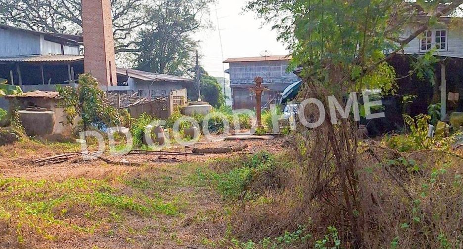 For sale land in Sapphaya, Chainat