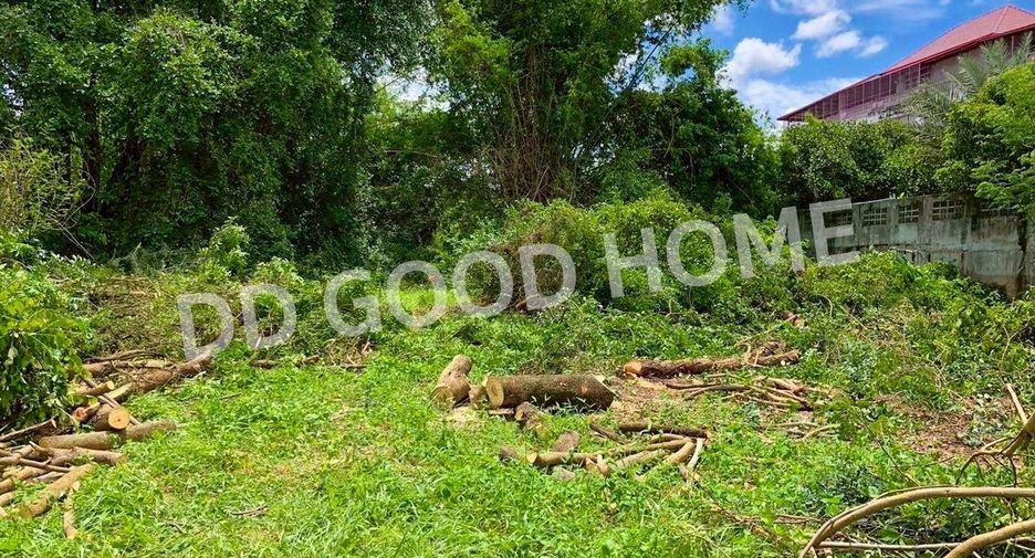 For sale land in Sapphaya, Chainat