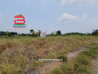 ขาย ที่ดิน ใน หนองเสือ, ปทุมธานี