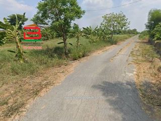 ขาย ที่ดิน ใน หนองเสือ, ปทุมธานี