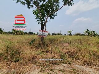 ขาย ที่ดิน ใน หนองเสือ, ปทุมธานี