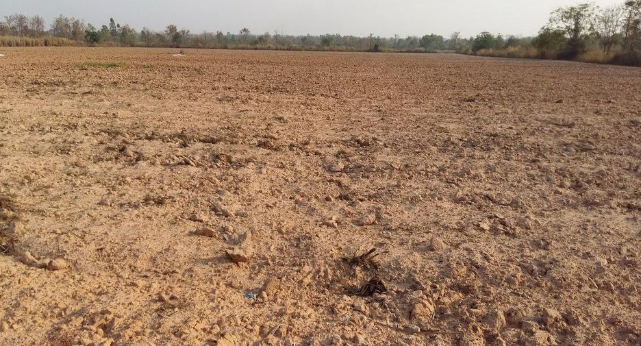For sale land in Nong Han, Udon Thani