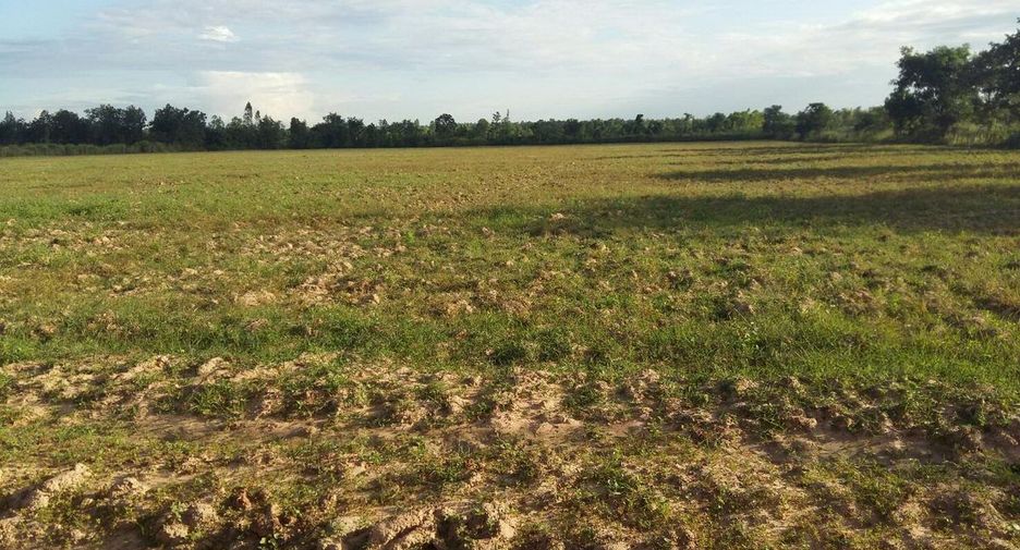 For sale land in Nong Han, Udon Thani