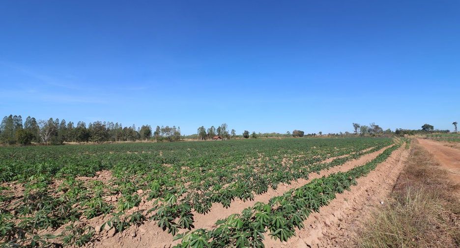 For sale land in Nong Han, Udon Thani