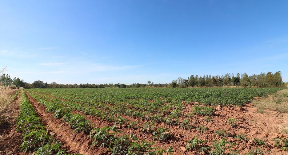 For sale land in Nong Han, Udon Thani