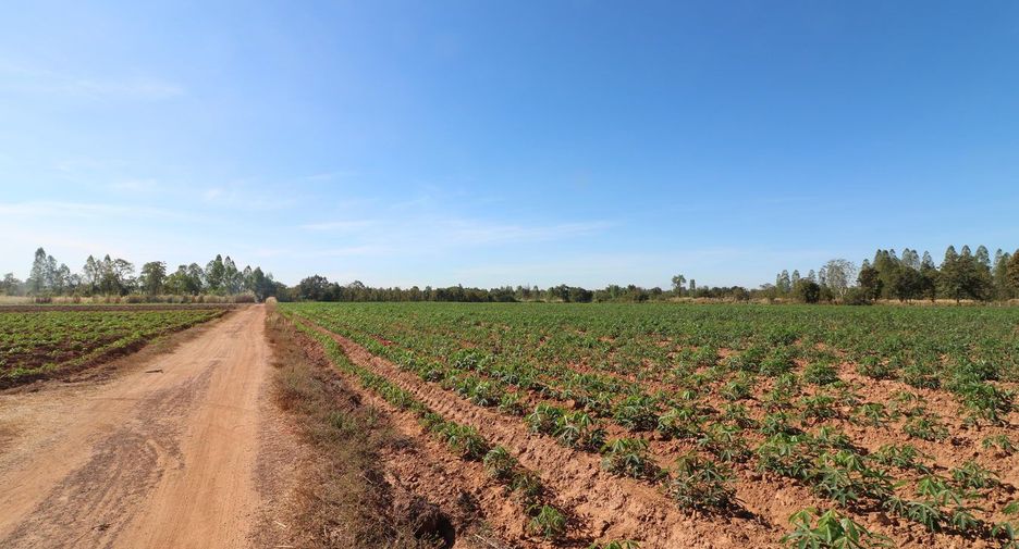 For sale land in Nong Han, Udon Thani