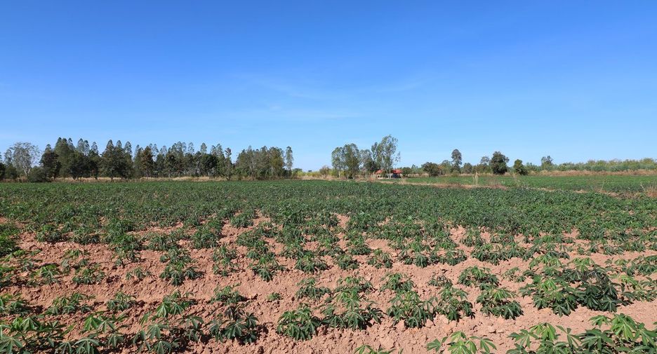 For sale land in Nong Han, Udon Thani