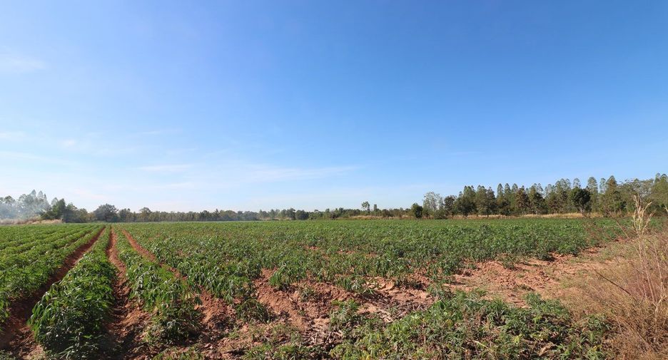 For sale land in Nong Han, Udon Thani
