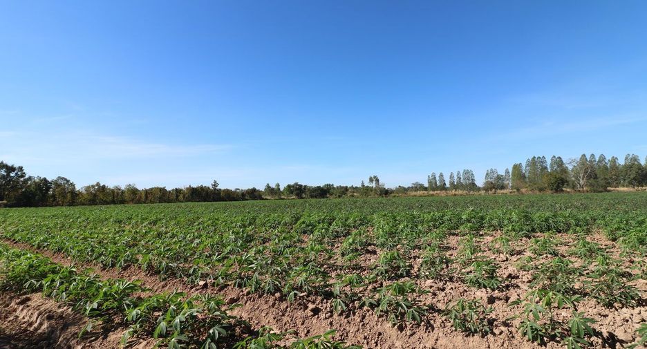 For sale land in Nong Han, Udon Thani