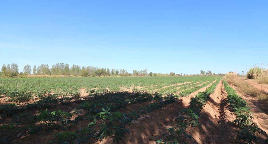For sale land in Nong Han, Udon Thani