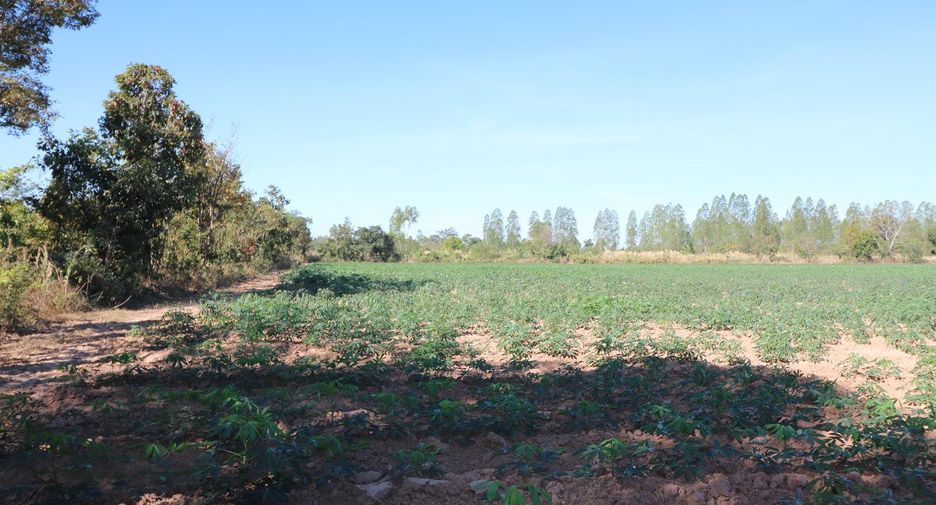 For sale land in Nong Han, Udon Thani
