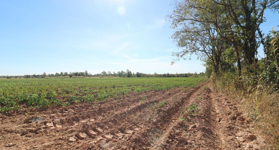 For sale land in Nong Han, Udon Thani