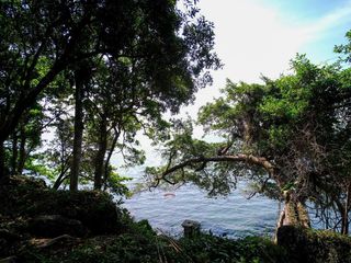 For sale land in Laem Ngop, Trat