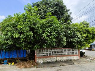 For sale 5 bed house in Nakhon Chai Si, Nakhon Pathom