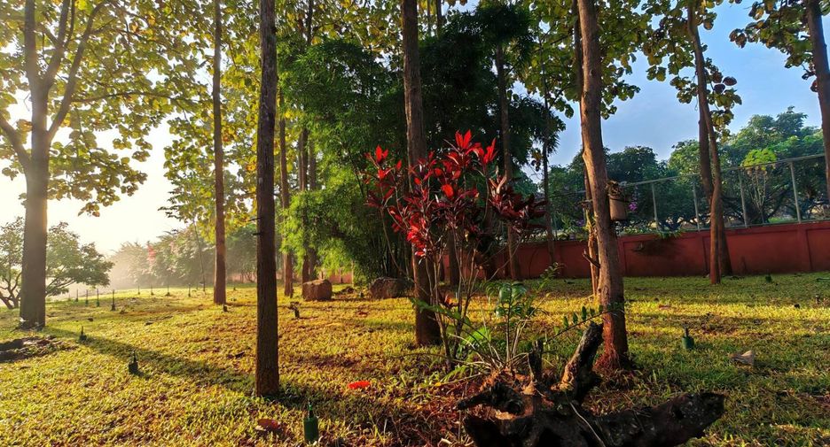 For sale 4 bedrooms house in Phrao, Chiang Mai