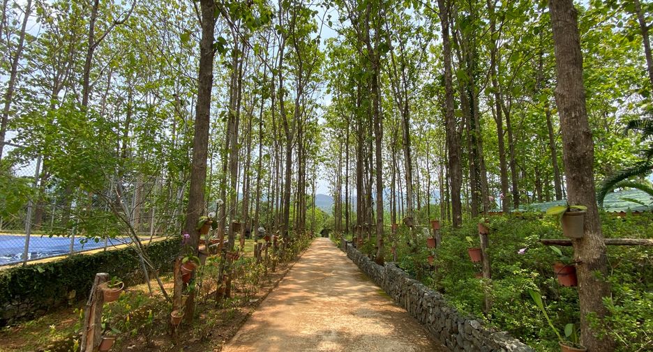 For sale 4 bedrooms house in Phrao, Chiang Mai