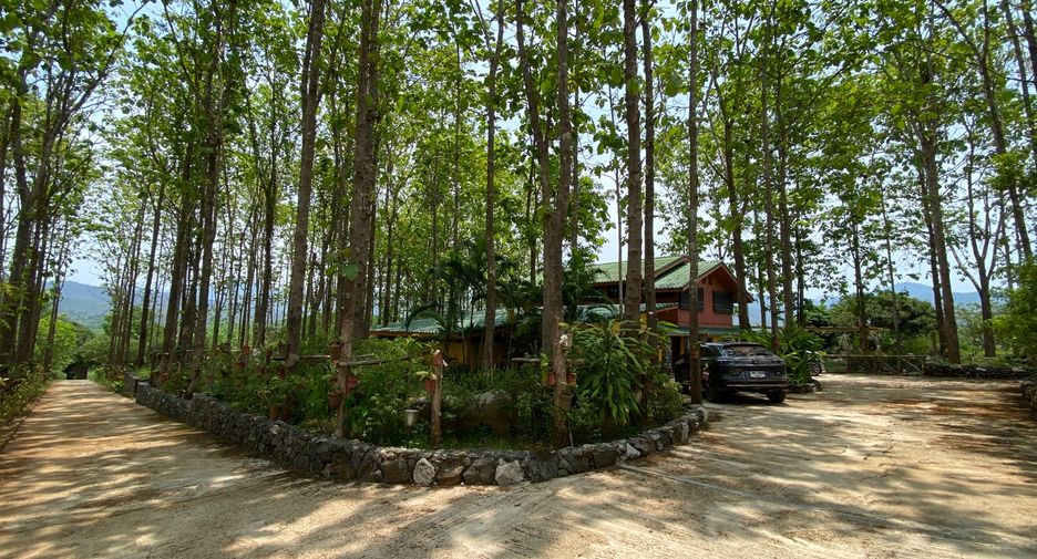 For sale 4 bedrooms house in Phrao, Chiang Mai