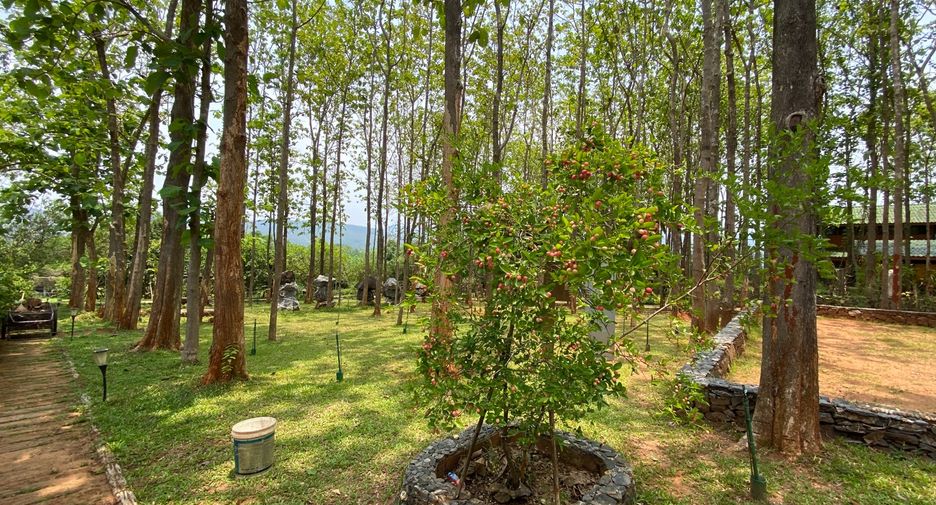 For sale 4 bedrooms house in Phrao, Chiang Mai