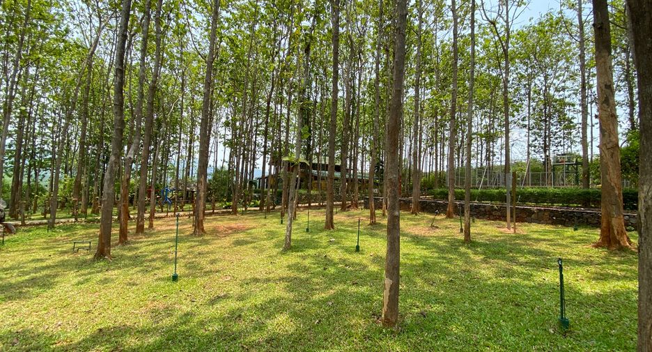 For sale 4 bedrooms house in Phrao, Chiang Mai