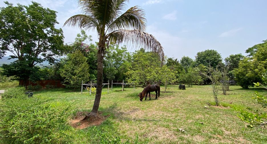 For sale 4 bedrooms house in Phrao, Chiang Mai