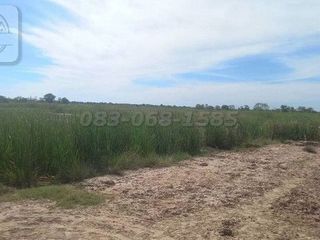 For sale land in Non Thai, Nakhon Ratchasima