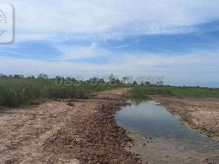 For sale land in Non Thai, Nakhon Ratchasima