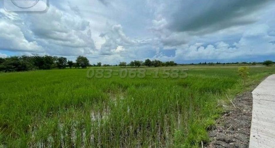 Grundstück zum Kauf in Non Thai, Nakhon Ratchasima
