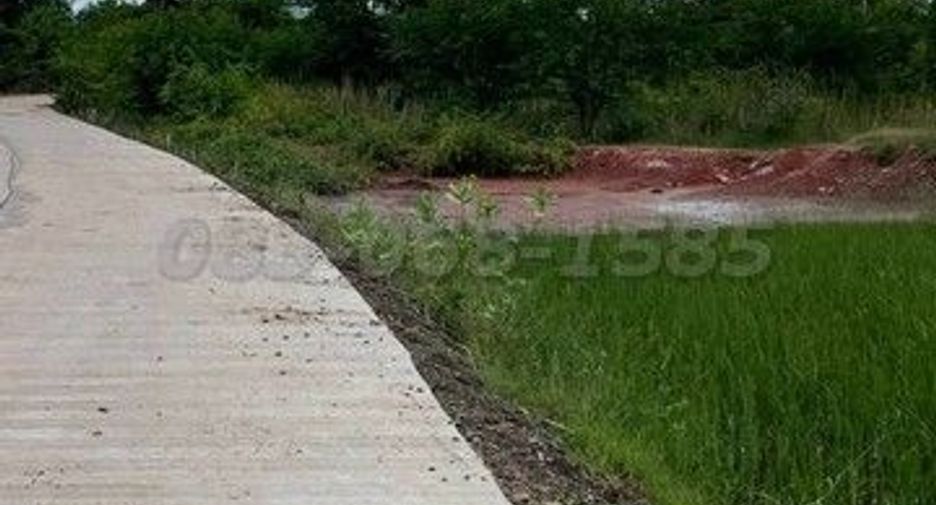 Grundstück zum Kauf in Non Thai, Nakhon Ratchasima