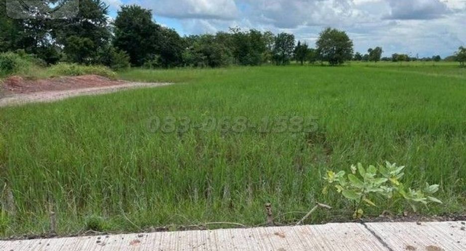 Grundstück zum Kauf in Non Thai, Nakhon Ratchasima