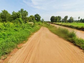 出售 土地 在 Wang Thong, Phitsanulok