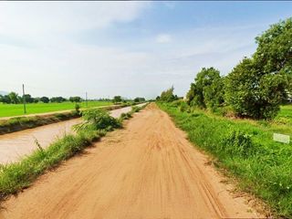 出售 土地 在 Wang Thong, Phitsanulok