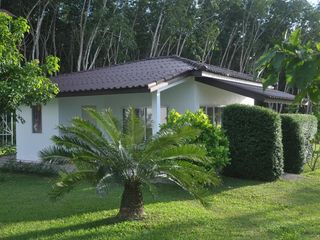 For sale 11 bed hotel in Sikao, Trang