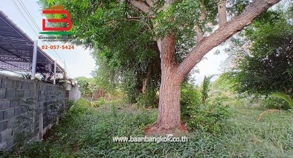 Terreno en alquiler en Mueang Chon Buri, Chonburi