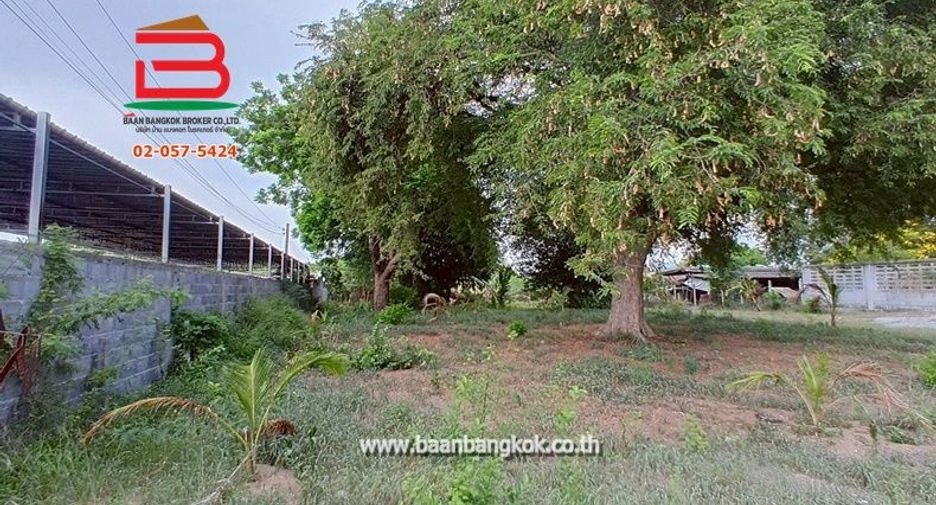Terreno en alquiler en Mueang Chon Buri, Chonburi