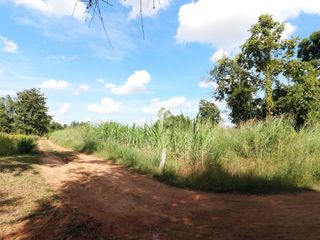 For sale land in Mueang Nongbua Lamphu, Nong Bua Lamphu