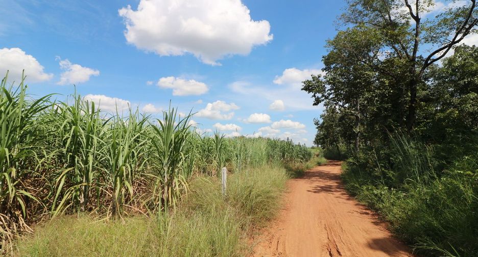 For sale land in Mueang Nongbua Lamphu, Nong Bua Lamphu