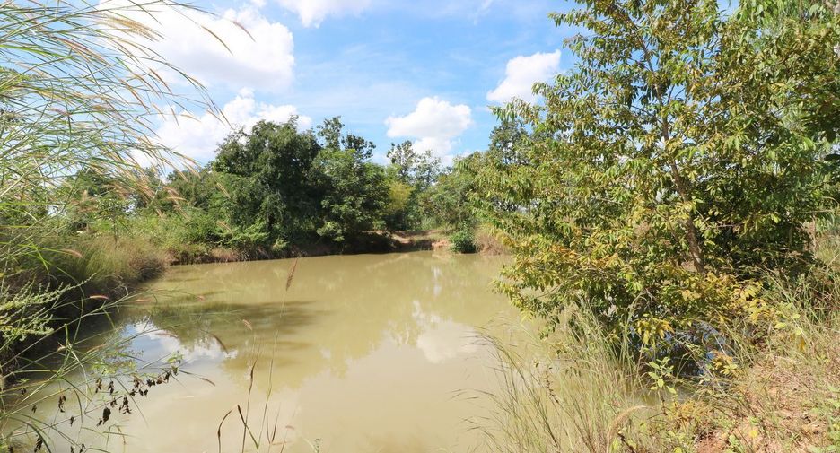 For sale land in Mueang Nongbua Lamphu, Nong Bua Lamphu