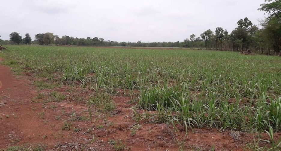 For sale land in Mueang Nongbua Lamphu, Nong Bua Lamphu