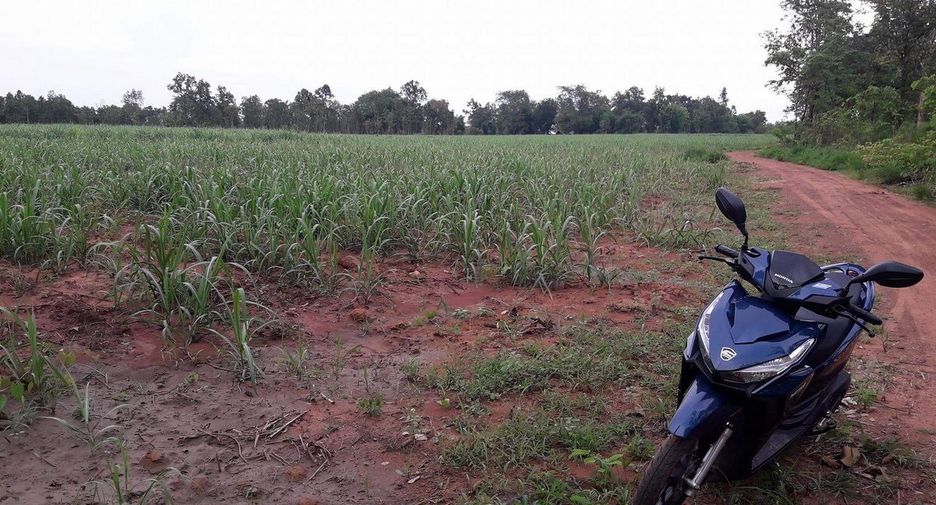 For sale land in Mueang Nongbua Lamphu, Nong Bua Lamphu