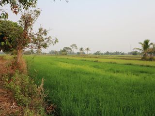 For sale land in Mueang Sakon Nakhon, Sakon Nakhon