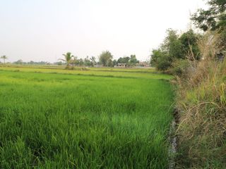 For sale land in Mueang Sakon Nakhon, Sakon Nakhon