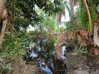 For sale land in Mueang Sakon Nakhon, Sakon Nakhon