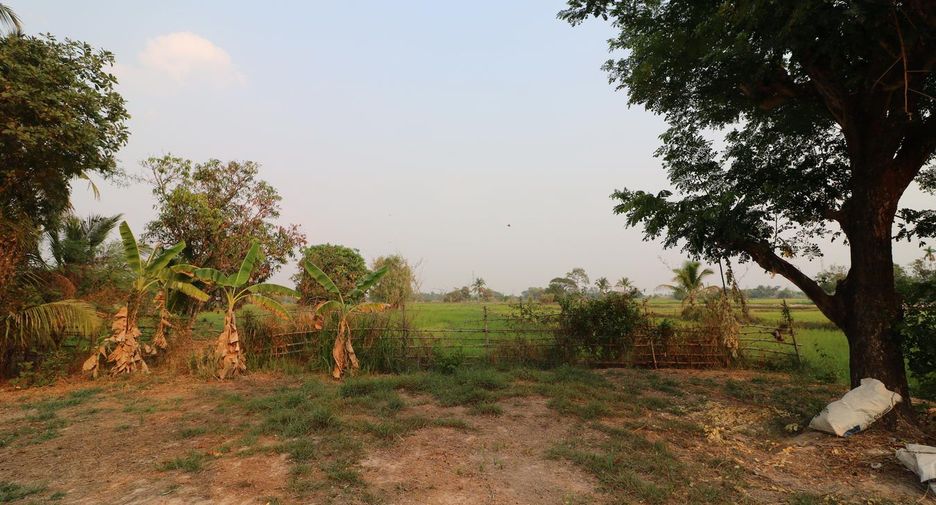 For sale land in Mueang Sakon Nakhon, Sakon Nakhon