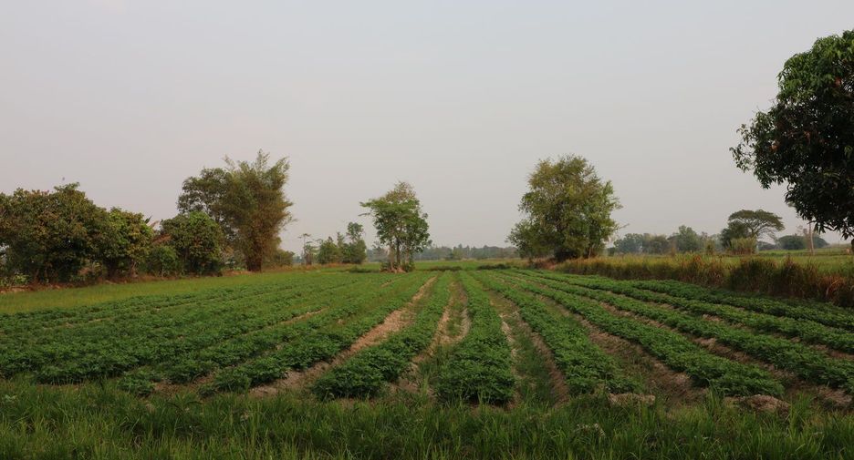 For sale land in Mueang Sakon Nakhon, Sakon Nakhon