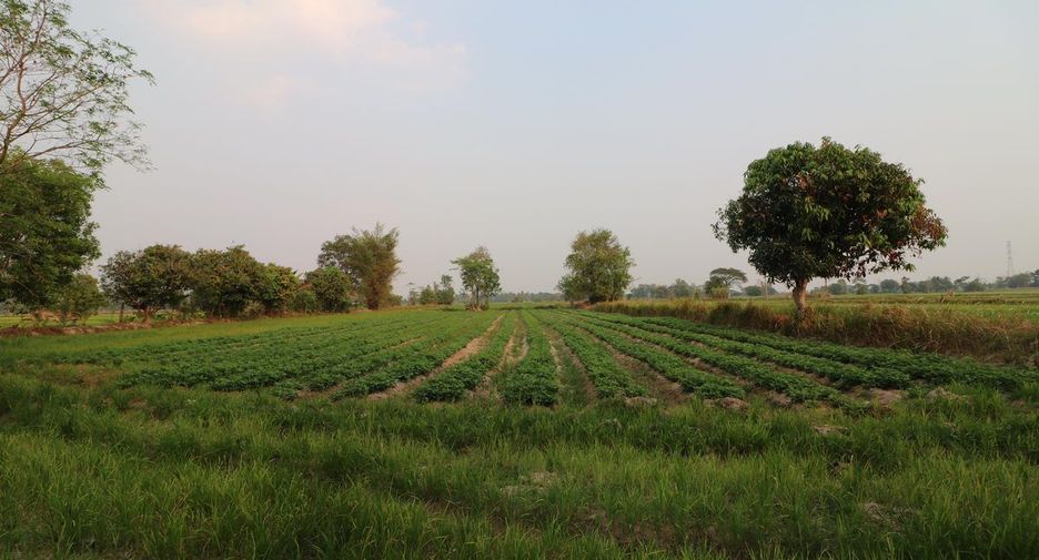 For sale land in Mueang Sakon Nakhon, Sakon Nakhon
