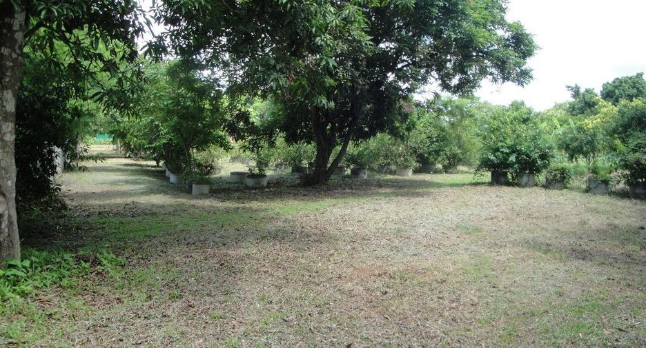 For sale land in Mueang Sakon Nakhon, Sakon Nakhon