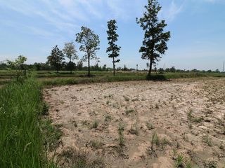 For sale land in Nong Han, Udon Thani