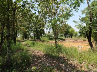 For sale land in Nong Han, Udon Thani