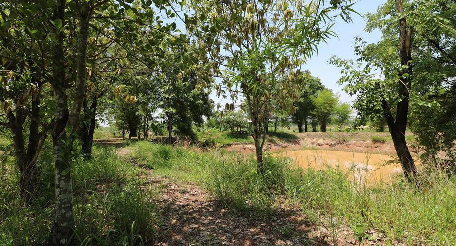 For sale land in Nong Han, Udon Thani