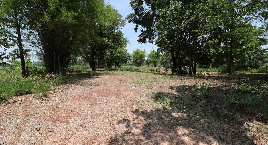 For sale land in Nong Han, Udon Thani